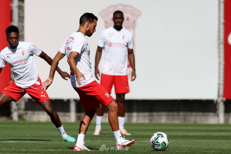 乓球的顶尖 乓球的顶尖