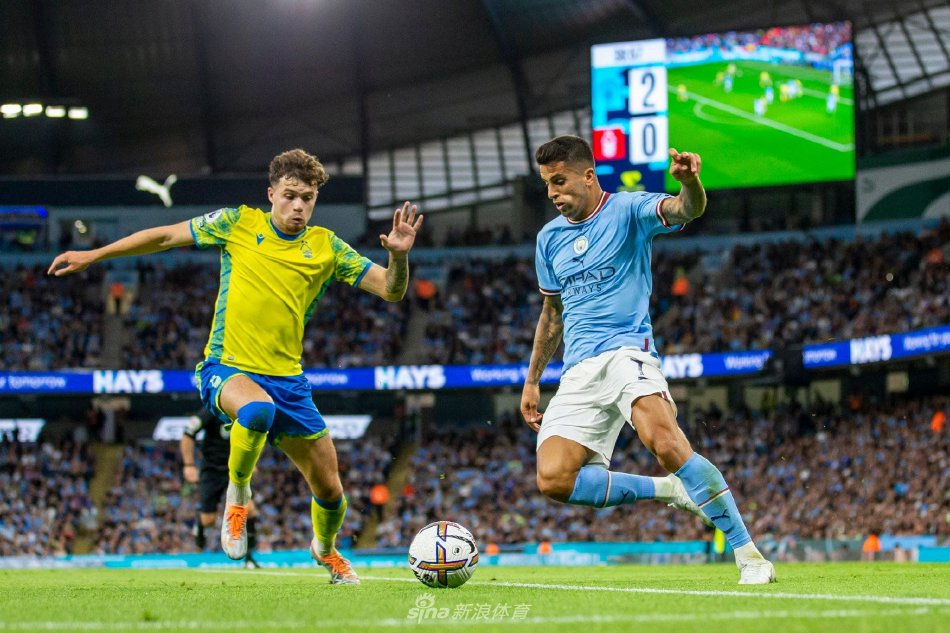 的出色表现 的出色表现